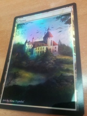 Plains #18 Foil Extended